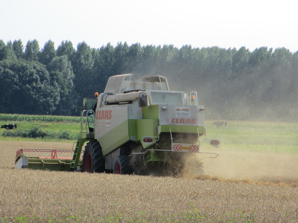 B&B Boerderij Wijtvliet Langeweg Bagian luar foto